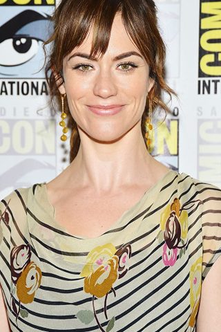 Maggie Siff 1