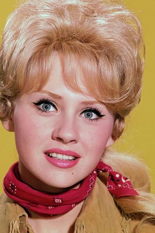Melody Patterson phone number
